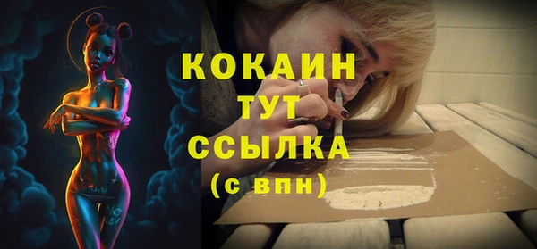 хмурый Касимов