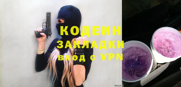 хмурый Касимов