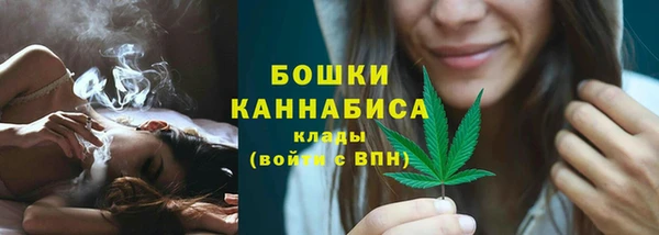 ешки Каменногорск