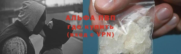 хмурый Касимов