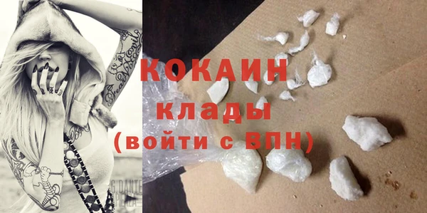 хмурый Касимов