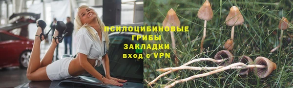 спиды Каменск-Шахтинский
