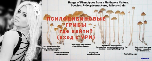 герыч Бугульма