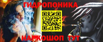 бошки Дубна