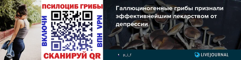 Псилоцибиновые грибы GOLDEN TEACHER  наркотики  Калуга 