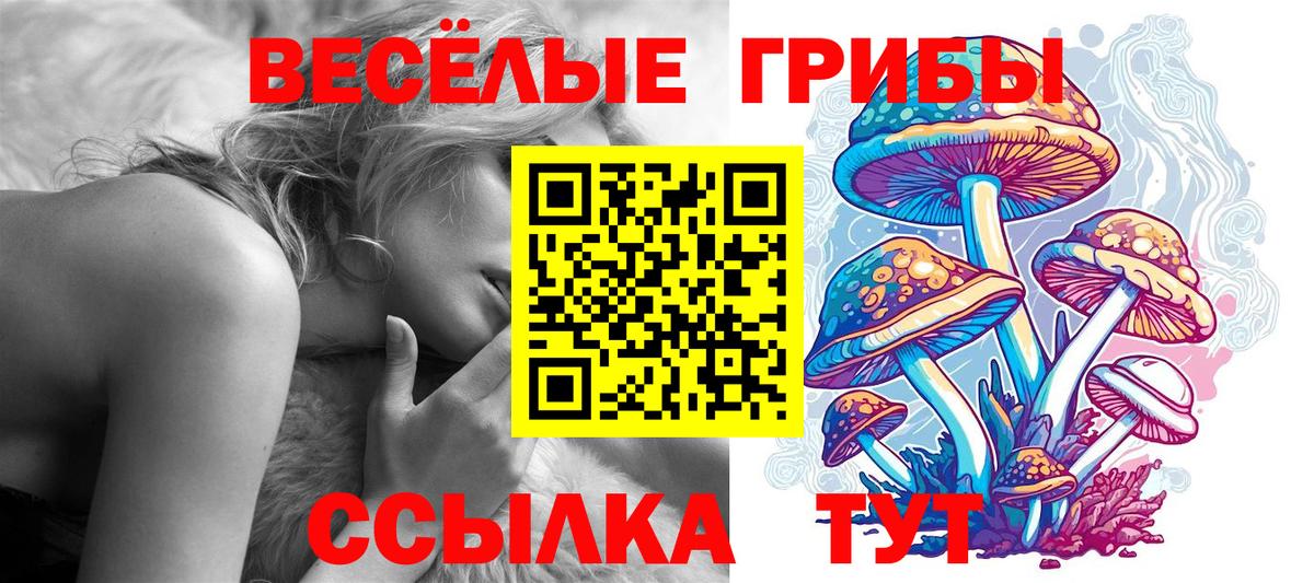 Псилоцибиновые грибы Magic Shrooms  Вход с VPN  цена   Калуга 
